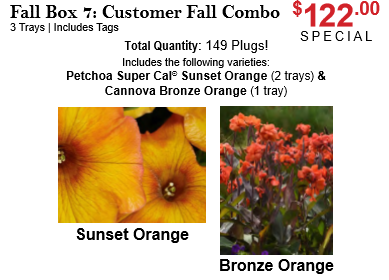 Fall Box 7: Customer Fall Combo - Fall Boxes